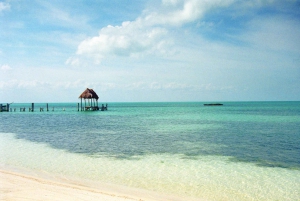 Cancún: Combo Isla Contoy e Isla Mujeres