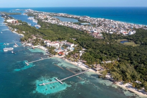 Cancún: Navegación en catamarán por Isla Mujeres, snorkel y nado con delfines