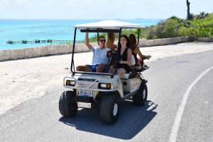 Cancún: Navegación en catamarán por Isla Mujeres, snorkel y nado con delfines