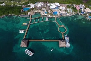 Cancún: tour en catamarán por Isla Mujeres y nado con delfines