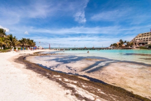 Cancún: Excursión en carrito de golf por Isla Mujeres, barra libre y comida