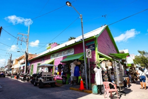 Cancún: Excursión en carrito de golf por Isla Mujeres, barra libre y comida