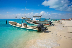 Cancún: Excursión en carrito de golf por Isla Mujeres, barra libre y comida