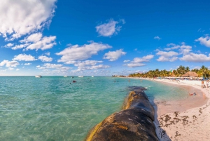 Cancún: Excursión en carrito de golf por Isla Mujeres, barra libre y comida