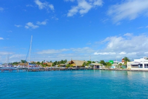 Cancún: Excursión en carrito de golf por Isla Mujeres, barra libre y comida