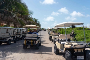 Cancún: Excursión en carrito de golf por Isla Mujeres, barra libre y comida