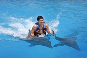 Cancún: Isla Mujeres Sea Life Encounter Program with Buffet