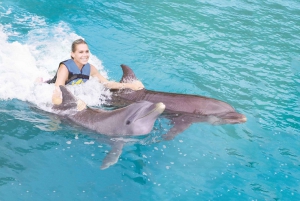 Cancún: Isla Mujeres Sea Life Encounter Program with Buffet