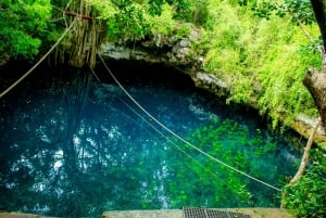 Cancun: Jungle ATV Tour, Ziplining, and Cenote Swim