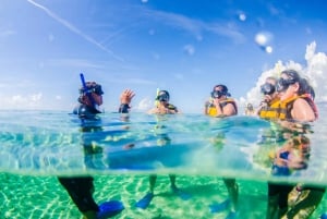 Cancun: Jungle Tour Adventure with Speedboat and Snorkeling