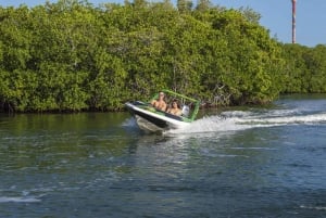 Cancún: Excursión a la selva con snorkel