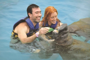 Cancún: Manatee Encounter on Isla Mujeres with Buffet Lunch