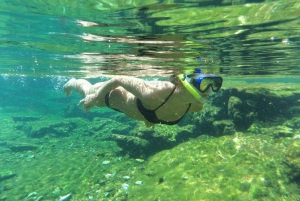 Cancun: Marine Turtle Observation in Akumal