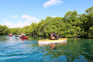 Cancun: Morning Kayak Adventure