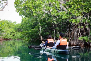 Cancun: Morning Kayak Adventure