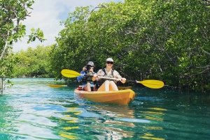 Cancún: Morning or Sunset Kayak Adventure in Nichupte Lagoon