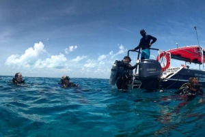 Buceo en Arrecife en Cancún o Isla Mujeres para Principiantes