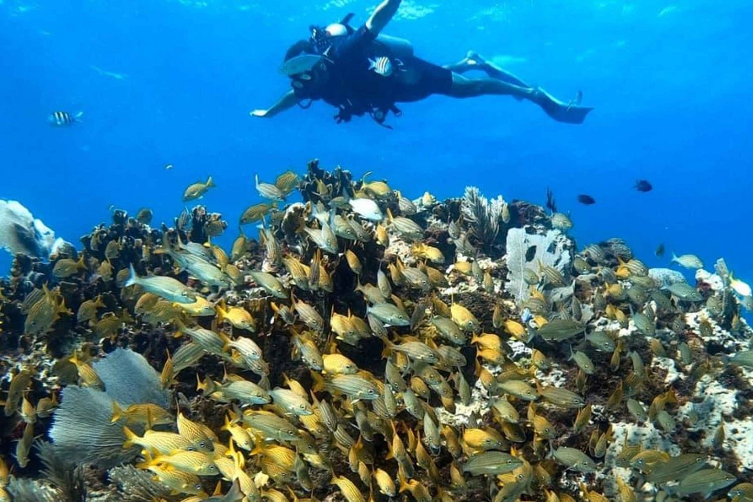 Cancun: PADI Enriched Air Nitrox Course