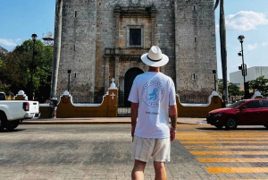 Cancún: Conductor Privado de Día Completo o Medio Día con Traslados al Hotel