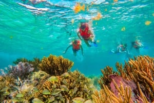 Cancún: Excursión de snorkel por los arrecifes de Puerto Morelos y comida junto al mar