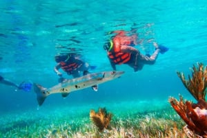 Cancún: Excursión de snorkel por los arrecifes de Puerto Morelos y comida junto al mar