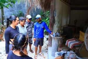 Cancún: Excursión de snorkel por los arrecifes de Puerto Morelos y comida junto al mar