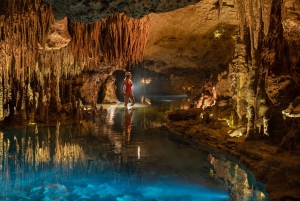 Cancún & Riviera Maya: Combo Xel-Ha & Xplor with Transport