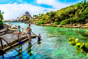Cancún y Riviera Maya: Xcaret Plus con bufé y transporte