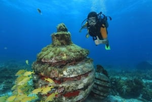 Cancun: Scuba Diving for Beginners, 2 Dives