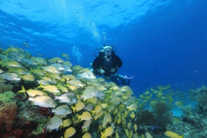 Cancun: Scuba Diving for Beginners, 2 Dives