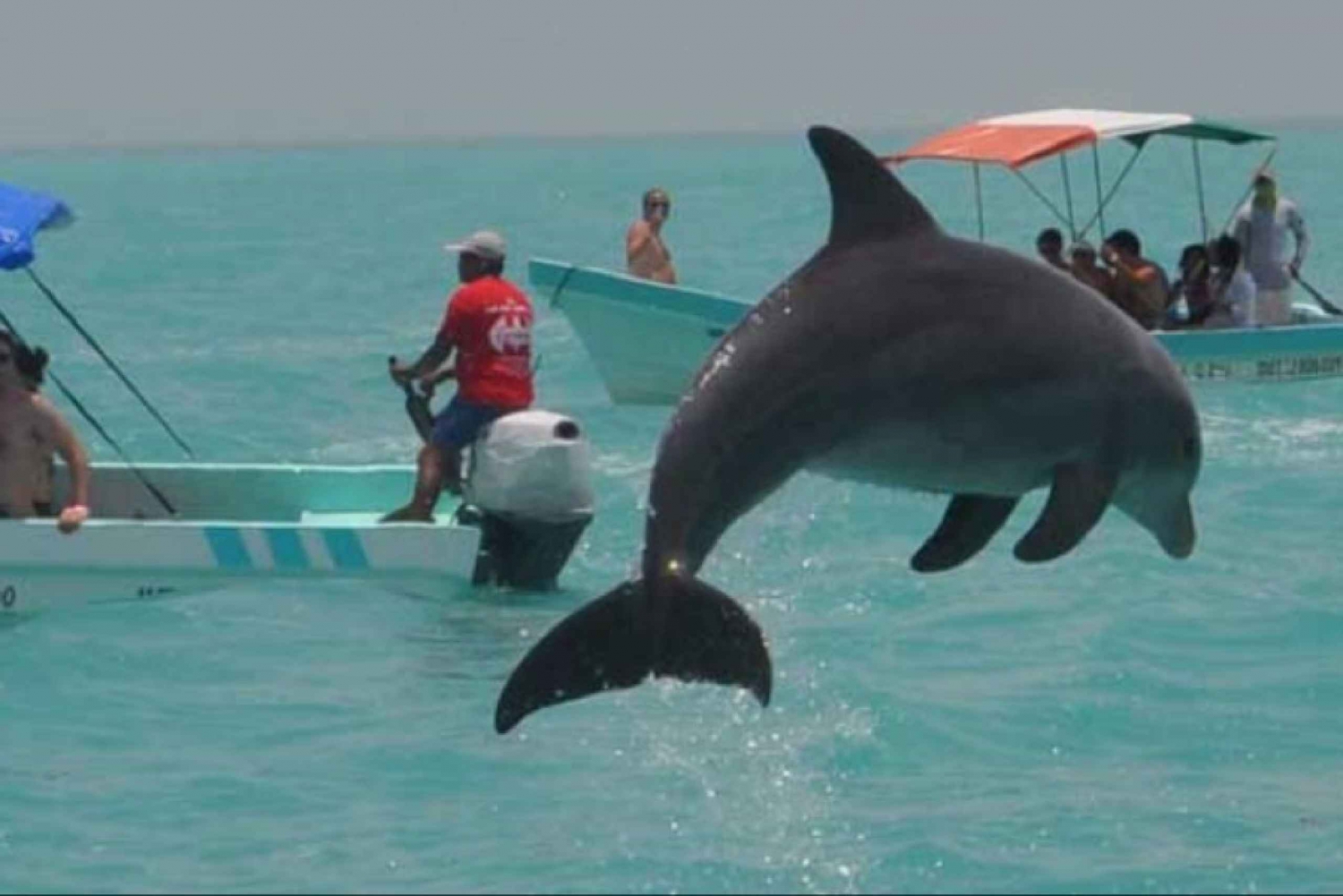 Cancún: Aventura en Sian Ka'an y visita a los delfines