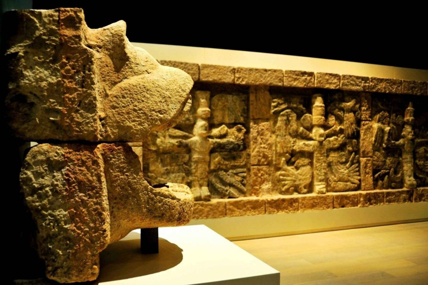 Cancun: Skip-the-Line Mayan Museum & San Miguelito Site