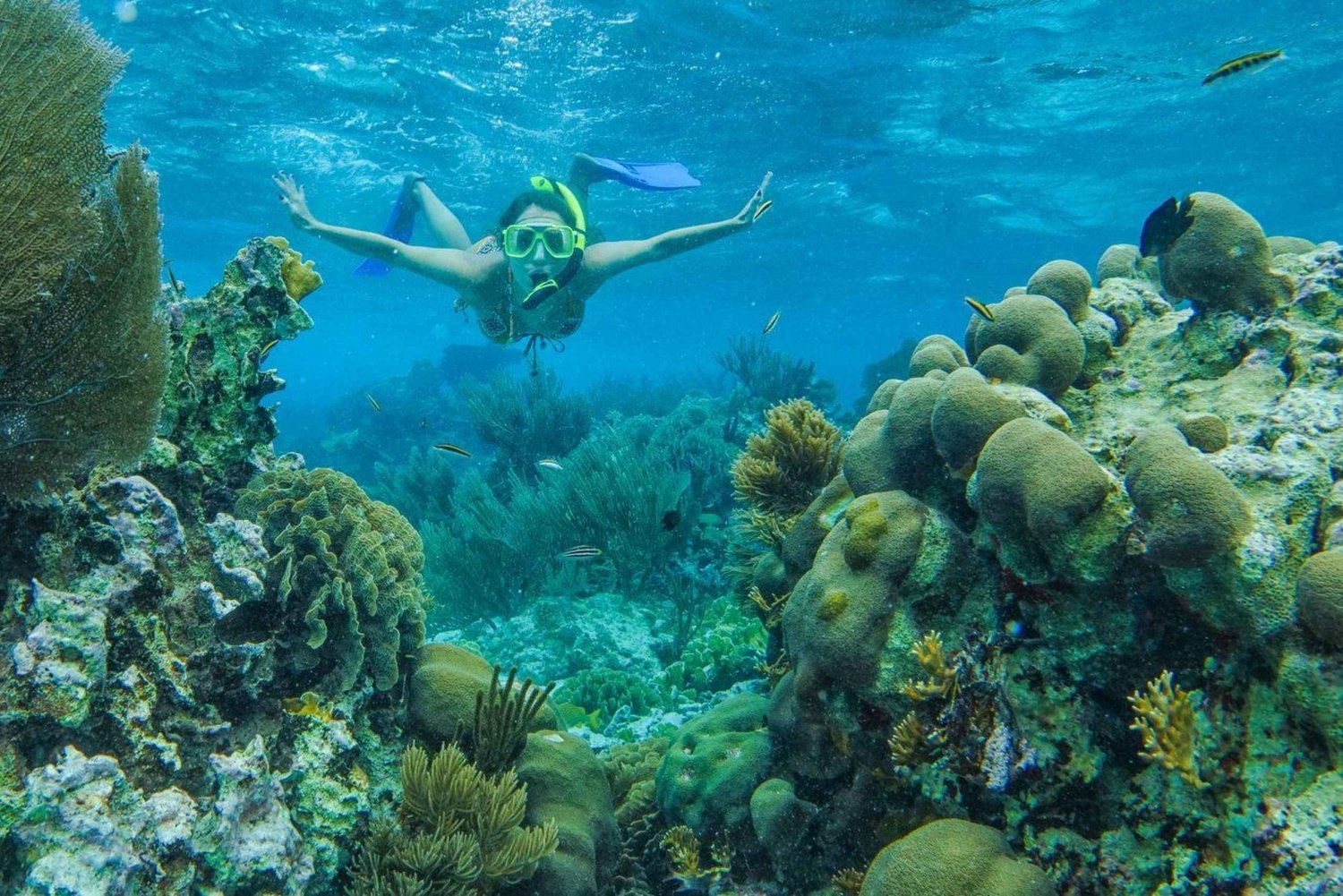 Cancun: Snorkel in MUSA Undewater Museum and Reef