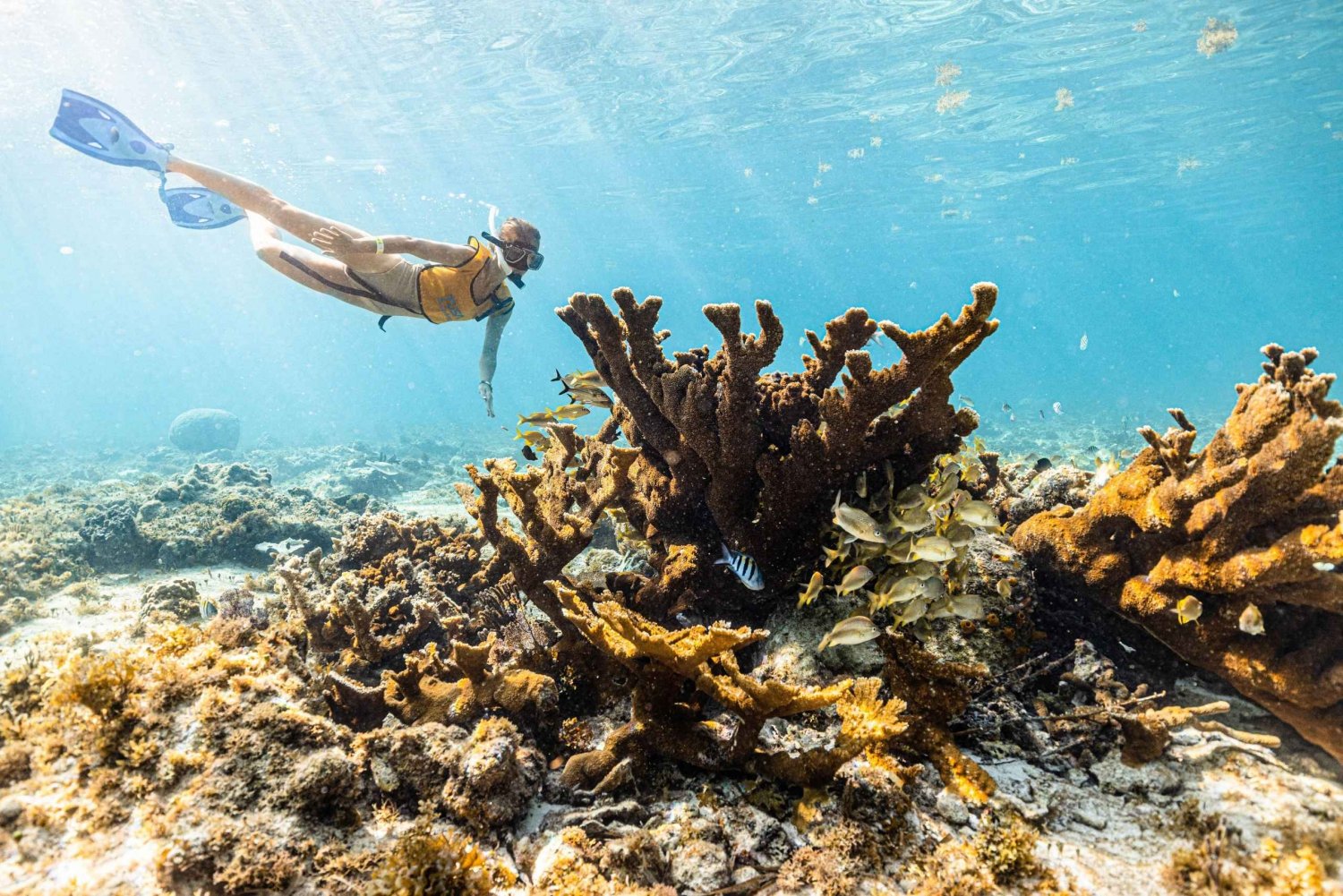Cancún: Excursión de snorkel para no nadadores