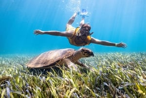 Cancun: Snorkeling Tour for Non-Swimmers