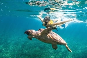 Cancun: Snorkeling Tour for Non-Swimmers