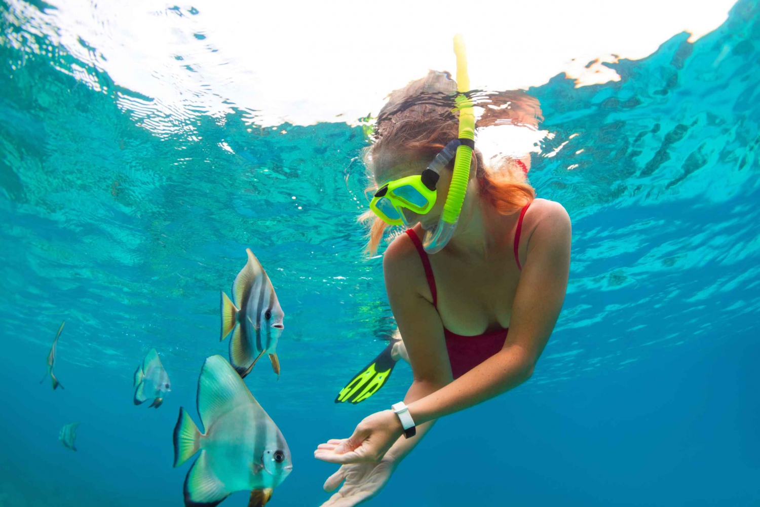 Cancun: Speedboat Jungle Tour w/ Snorkeling & Mayan Ceremony