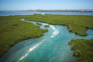 Cancun: Speedboat Mangrove Jungle & Snorkel Tour