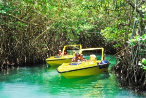 Cancún: Excursión en lancha rápida por la selva de manglares y con esnórquel