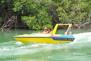 Cancún: Excursión en lancha rápida por la selva de manglares y con esnórquel