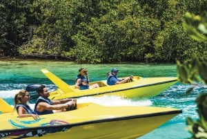 Cancún: Excursión en lancha rápida por la selva de manglares y con esnórquel