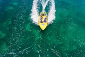 Cancún: Excursión en lancha rápida por la selva de manglares y con esnórquel