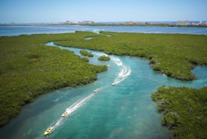 Cancún: Excursión en lancha rápida por la selva de manglares y con esnórquel