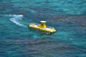 Cancun: Subsee Explorer Ride