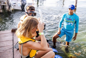 Cancún: Excursión de snorkel al amanecer con 5 paradas y servicio de recogida