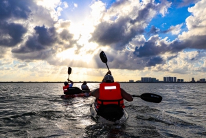Cancun: Sunset Kayak Experience in the Mangroves