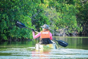 Cancun: Sunset Kayak Experience in the Mangroves