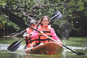 Cancun: Sunset Kayak Experience in the Mangroves