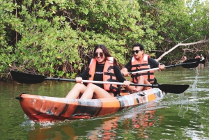 Cancun: Sunset Kayak Experience in the Mangroves