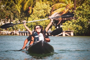 Cancun: Sunset Kayak Experience in the Mangroves